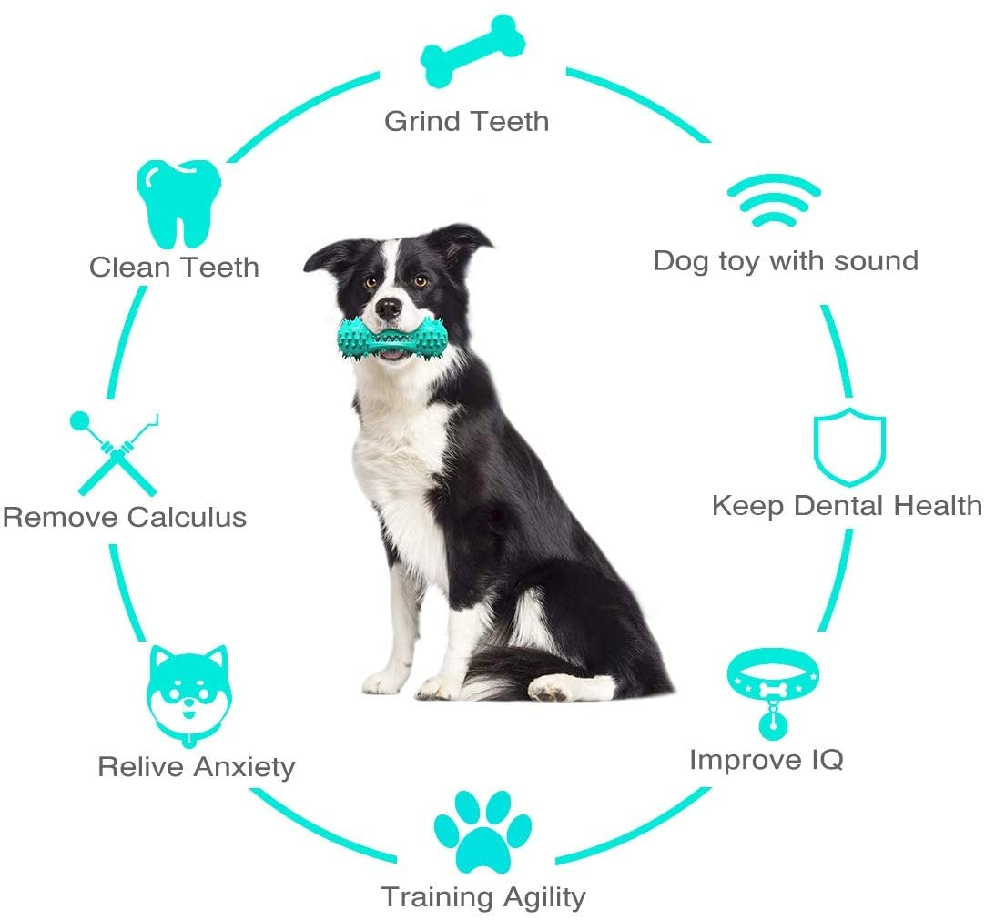 "Aggressive Chewer Dog Toy – Durable Rubber Molar Stick for Teeth Cleaning & Oral Health"