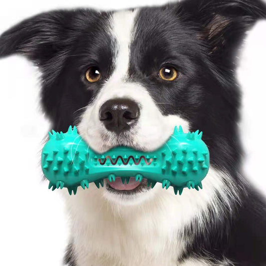 "Aggressive Chewer Dog Toy – Durable Rubber Molar Stick for Teeth Cleaning & Oral Health"