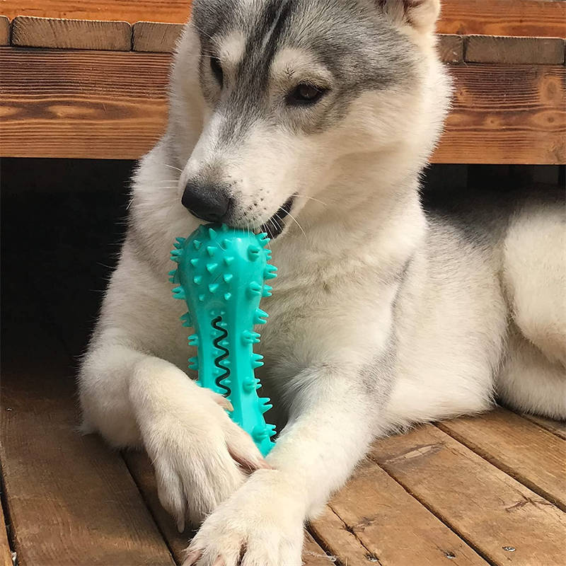 "Aggressive Chewer Dog Toy – Durable Rubber Molar Stick for Teeth Cleaning & Oral Health"